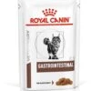 Royal Canin Gastro Intestinal Portie - 12 X 85 Gram