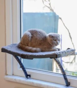 Hobipets - Kattenmand Raam - 5 Zuignappen - Hangmat Kat Raam 10 Hobipets - Kattenmand Raam - 5 Zuignappen - Hangmat Kat Raam -Katten Benodigdheden Winkel 1049x1200 4