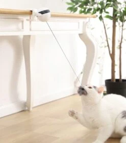 Merkloos Kattenspeelgoed - Katten Speelgoed - Katten Speeltje - Katten Bal - Katten - Kattenhengel - Kitten Speelgoed - Kattenspeeltjes - Elektrische - Muis - Automatische Hengel - Bal - Poes - Katten - Prooi - Kat - Poesjes - Interactief Kattenspeelgoed -Katten Benodigdheden Winkel 1053x1200 1