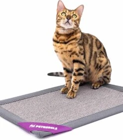 Petrebels Mastermat 60 Katten Krabmat - Grijs - 60 X 40 Cm - Zeer Sterk -Katten Benodigdheden Winkel 1053x1200 3
