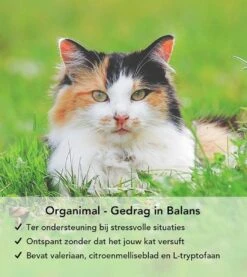 Gedrag In Balans - Kat - O.a. Bij Stress En Angst - 45 Tabletten A 400mg -Katten Benodigdheden Winkel 1071x1200 1