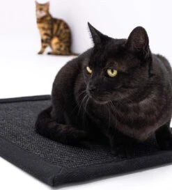 Petrebels Mastermat 80 Katten Krabmat - Zwart - 80 X 50 Cm - Zeer Sterk -Katten Benodigdheden Winkel 1086x1200 4