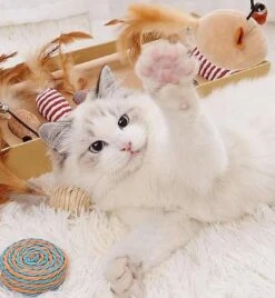 GIZMO Luxe Kattenspeeltjes Set - 7 Speeltjes - Interactieve Kattenhengel, Kattenspeelgoed & Speelmuisjes - Kitten Speeltjes -Katten Benodigdheden Winkel 1108x1200 2