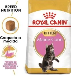 Royal Canin Maine Coon Kitten - Kattenvoer - 4 Kg -Katten Benodigdheden Winkel 1132x1200