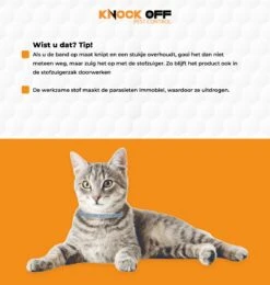 Knock Off Vlooien-tekenband – 100% Natuurlijke Vlooienbestrijding - Zonder Schadelijke Pesticiden Of Gif – Effectief Tot 4 Maanden – Nederlands- En Franstalige Handleiding – Regen- En Waterbestendig - Geschikt Voor Katten – 35 Cm -Katten Benodigdheden Winkel 1139x1200 2