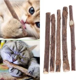 Matatabi Kauwstaafjes Voor Katten - 5x Matabi Stokjes - Kattenspeelgoed - 100% Natuurlijke Sticks - Plantaardig - Silver Vine Kauwstaven Voor Kittens - Kattenkruid Effect - Gebitsverzorging - 5 Stuks Vardaan Kauwstaven Voor Katten - XS - 11 Cm -Katten Benodigdheden Winkel 1143x1200