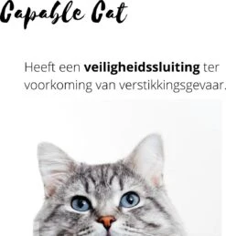 Capable Cat Vlooienband Kat | Vlooien | Luizen | Teken | Mijten | 8 Maanden Bescherming | Katten 12 Capable Cat Vlooienband Kat | Vlooien | Luizen | Teken | Mijten | 8 Maanden Bescherming | Katten -Katten Benodigdheden Winkel 1143x1200 3