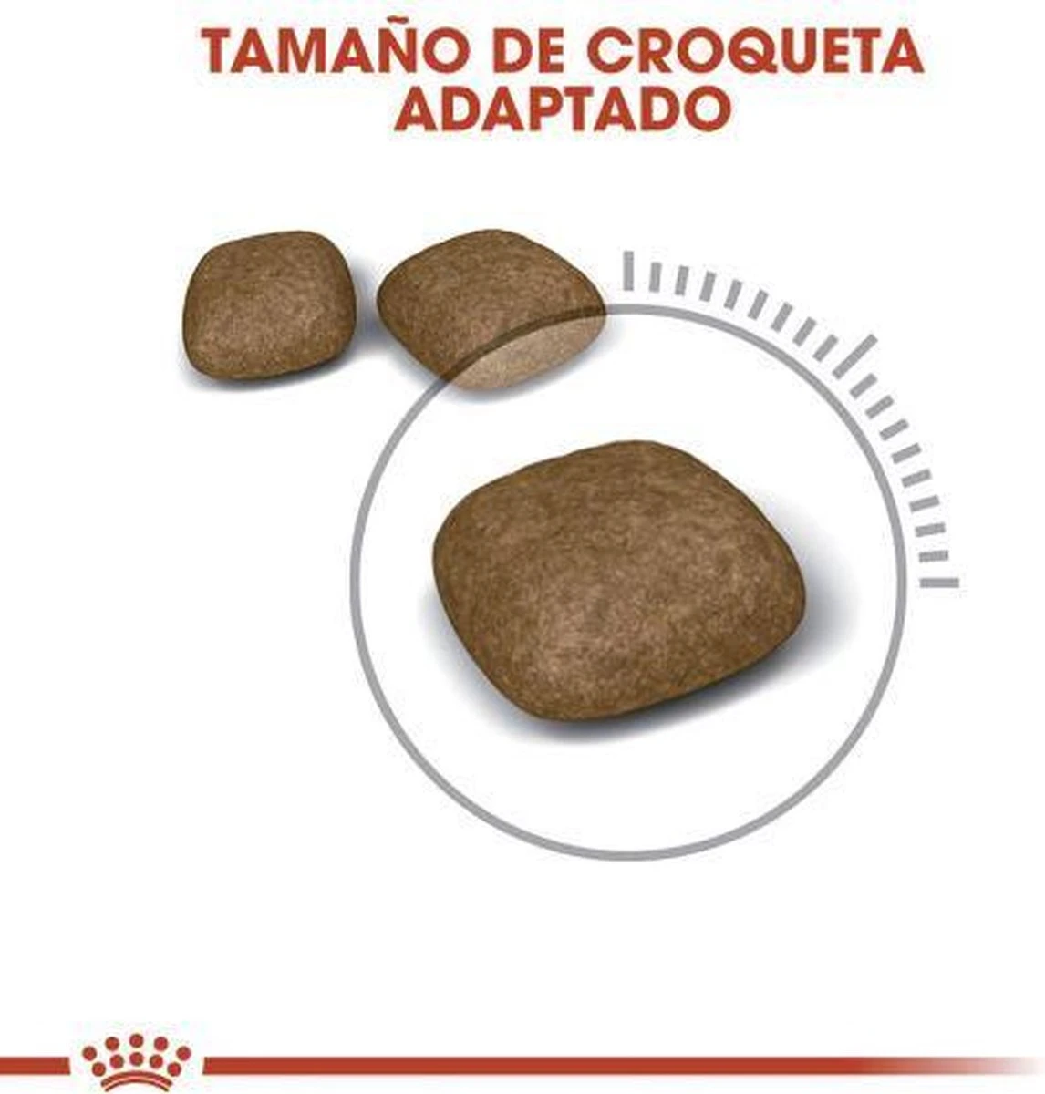 Royal Canin Urinary Care - Kattenvoer - 10 Kg 8 Royal Canin Urinary Care - Kattenvoer - 10 Kg - Afbeelding 6