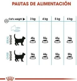 Royal Canin Urinary Care - Kattenvoer - 10 Kg 27 Royal Canin Urinary Care - Kattenvoer - 10 Kg -Katten Benodigdheden Winkel 1146x1200 4