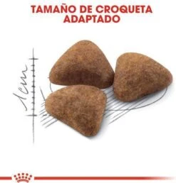 Royal Canin Indoor 27 - Kattenvoer - 10 Kg 33 Royal Canin Indoor 27 - Kattenvoer - 10 Kg -Katten Benodigdheden Winkel 1149x1200 3