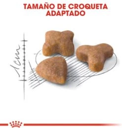 Royal Canin Sensible 33 - Kattenvoer - 4 Kg -Katten Benodigdheden Winkel 1149x1200 4