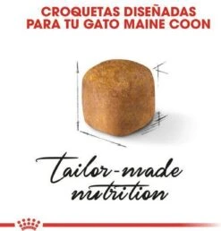 Royal Canin Maine Coon Kitten - Kattenvoer - 4 Kg -Katten Benodigdheden Winkel 1151x1200 1