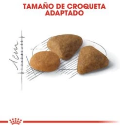 Royal Canin Savour Exigent - Kattenvoer - 4 Kg 29 Royal Canin Savour Exigent - Kattenvoer - 4 Kg -Katten Benodigdheden Winkel 1151x1200