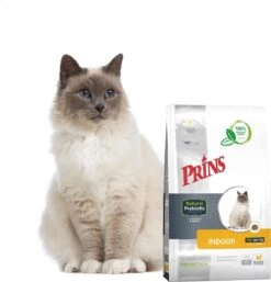 Prins VitalCare Protection Indoor Kattenvoer 5 Kg -Katten Benodigdheden Winkel 1153x1200 2