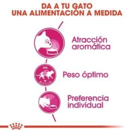 ROYAL CANIN® Aroma Exigent - Kattenvoer - 400 Gram -Katten Benodigdheden Winkel 1154x1200 2