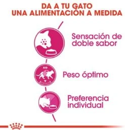 Royal Canin Savour Exigent - Kattenvoer - 4 Kg 18 Royal Canin Savour Exigent - Kattenvoer - 4 Kg -Katten Benodigdheden Winkel 1154x1200