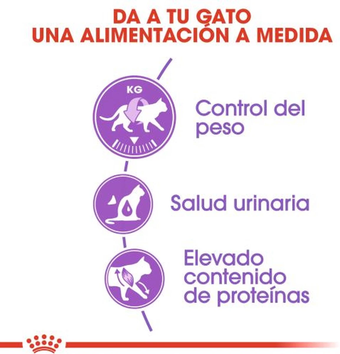 Royal Canin Sterilised 37 - Kattenvoer - 4 Kg 6 Royal Canin Sterilised 37 - Kattenvoer - 4 Kg - Afbeelding 4