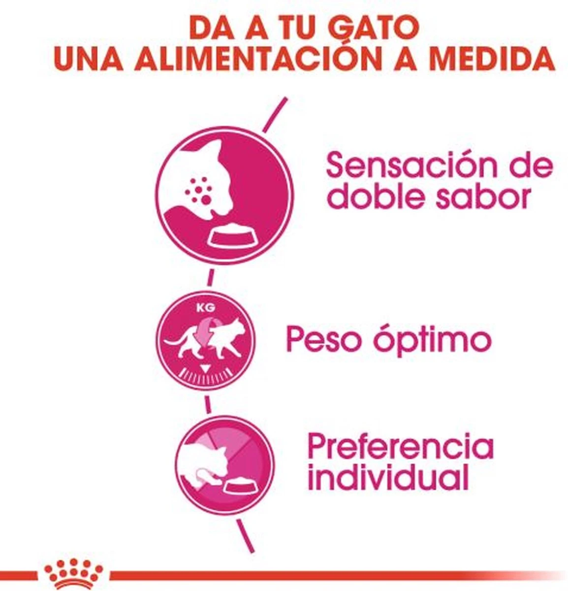 Royal Canin Savour Exigent - Kattenvoer - 4 Kg 5 Royal Canin Savour Exigent - Kattenvoer - 4 Kg - Afbeelding 3