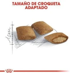 Royal Canin Ageing 12+ - Kattenvoer - 4 Kg -Katten Benodigdheden Winkel 1156x1200