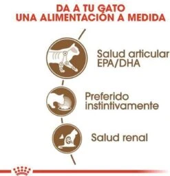 Royal Canin Wet Ageing 12+ (12X85 GR) 31 Royal Canin Wet Ageing 12+ (12X85 GR) -Katten Benodigdheden Winkel 1158x1200