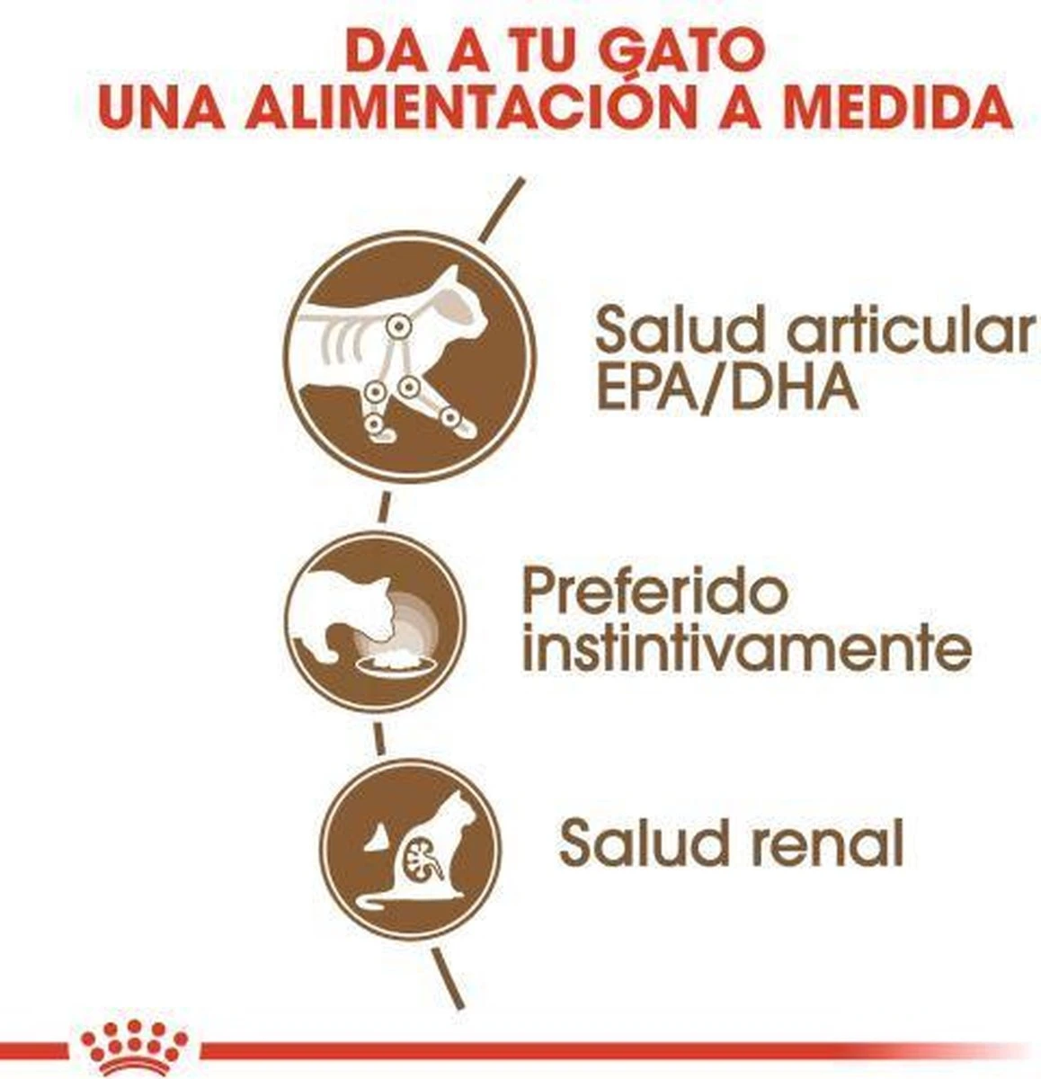 Royal Canin Wet Ageing 12+ (12X85 GR) 16 Royal Canin Wet Ageing 12+ (12X85 GR) - Afbeelding 14