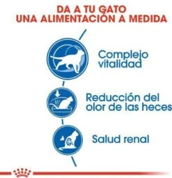 Royal Canin Indoor 7+ - Kattenvoer - 3,5 Kg 22 Royal Canin Indoor 7+ - Kattenvoer - 3,5 Kg -Katten Benodigdheden Winkel 1161x1200 1