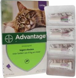Bayer Anti Vlooienmiddel Advantage 80 > 4 Kg - 4 X 0,8 Ml -Katten Benodigdheden Winkel 1168x1200 1