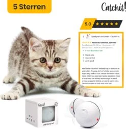 Catchit!® Interactieve Zelfrollende Bal Katten - Kattenspeeltjes - Inclusief USB Kabel En Staartjes - Kattenspeelgoed - Smart - Grijs -Katten Benodigdheden Winkel 1171x1200 9