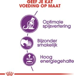 Royal Canin Sensible 33 - Kattenvoer - 4 Kg -Katten Benodigdheden Winkel 1177x1200 3