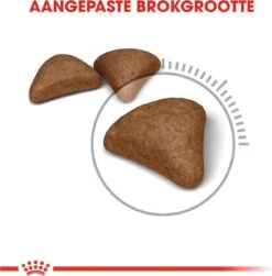 Royal Canin Hairball Care - Kattenvoer - 2 Kg -Katten Benodigdheden Winkel 1179x1200 25