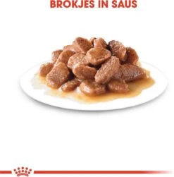 Royal Canin Wet Ageing 12+ (12X85 GR) 21 Royal Canin Wet Ageing 12+ (12X85 GR) -Katten Benodigdheden Winkel 1179x1200 4