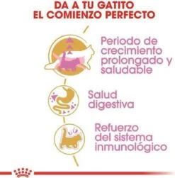 Royal Canin Maine Coon Kitten - Kattenvoer - 4 Kg -Katten Benodigdheden Winkel 1180x1200 1