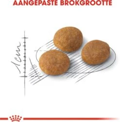 ROYAL CANIN® Aroma Exigent - Kattenvoer - 400 Gram -Katten Benodigdheden Winkel 1180x1200 2