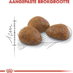 Royal Canin Outdoor 7+ - 4 Kg -Katten Benodigdheden Winkel 1184x1200