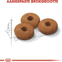 Royal Canin Appetite Control Care - Kattenvoer - 2 Kg -Katten Benodigdheden Winkel 1184x1200 3