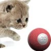 Cheerble Mini Ball 2.0 - Slimme Interactieve Zelf Rollende Bal Voor Katten - 3 Speelmodi - Kattenspeeltjes - USB Oplaadbaar - Rood -Katten Benodigdheden Winkel 1184x1200 6