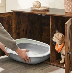 Kattenbak Kast, Kattentoilet, Vintage -Katten Benodigdheden Winkel 1185x1200 6