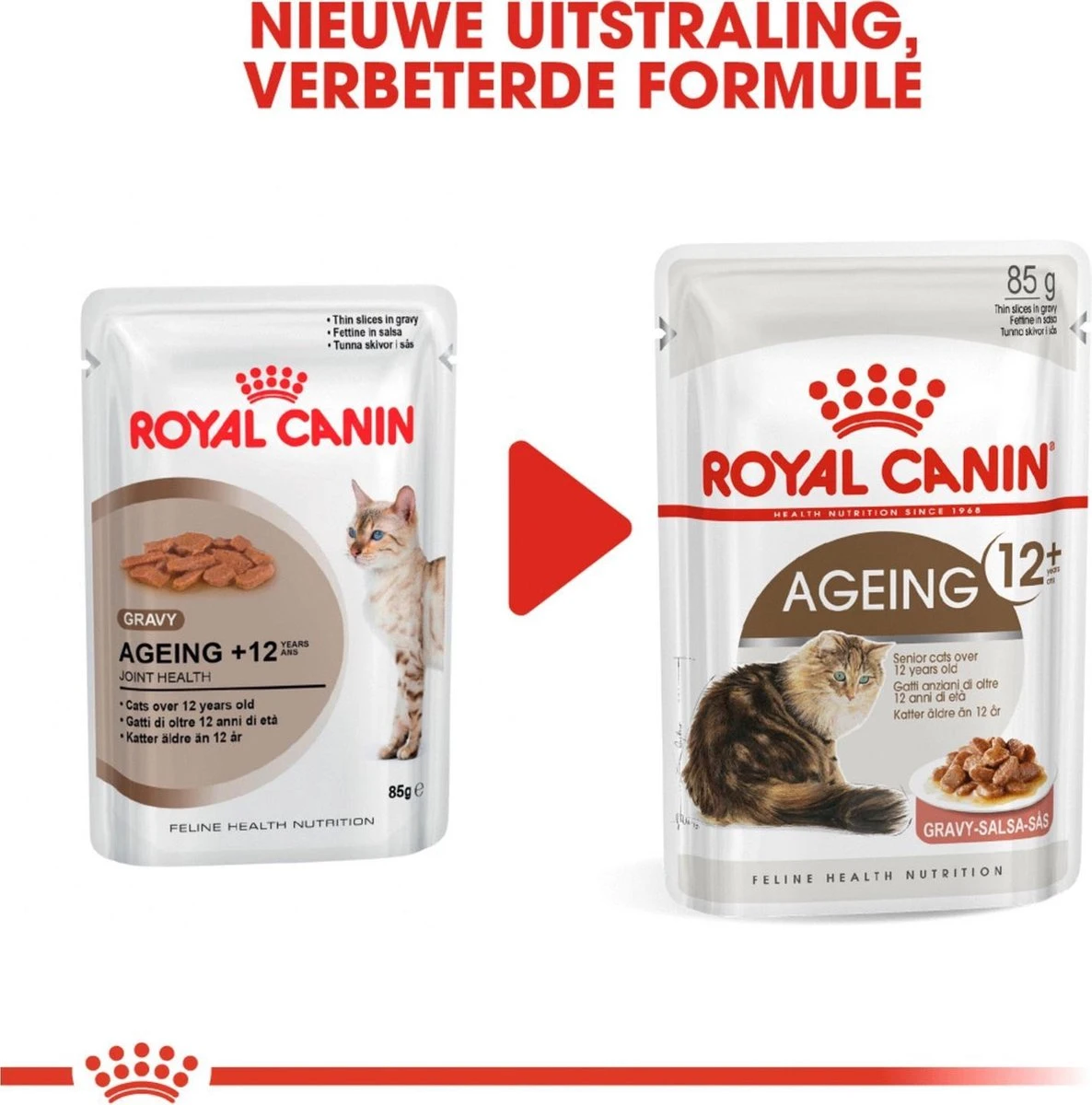 Royal Canin Wet Ageing 12+ (12X85 GR) 11 Royal Canin Wet Ageing 12+ (12X85 GR) - Afbeelding 9