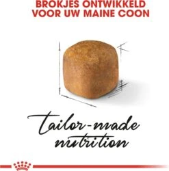 Royal Canin Maine Coon Kitten - Kattenvoer - 4 Kg -Katten Benodigdheden Winkel 1187x1200 1