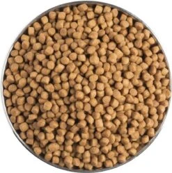 Pro Plan Veterinary Diets Feline Gastro-intestinal - Kattenvoer- 5kg 11 Pro Plan Veterinary Diets Feline Gastro-intestinal - Kattenvoer- 5kg -Katten Benodigdheden Winkel 1188x1200