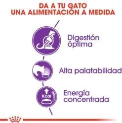 Royal Canin Sensible 33 - Kattenvoer - 4 Kg -Katten Benodigdheden Winkel 1197x1200 2