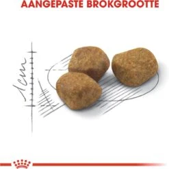 Royal Canin Indoor 7+ - Kattenvoer - 3,5 Kg 23 Royal Canin Indoor 7+ - Kattenvoer - 3,5 Kg -Katten Benodigdheden Winkel 1198x1200 8