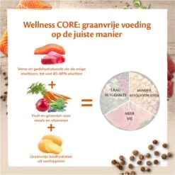 Wellness Core Grain Free Cat Sterilised - Zalm - Kattenvoer - 1.75 Kg -Katten Benodigdheden Winkel 1199x1200 1