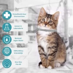 Biologische Vlooien- En Tekenband Voor Katten - BLAUW - Zonder Giftige Pesticiden - Veilig En Verantwoord -Katten Benodigdheden Winkel 1199x1200 17