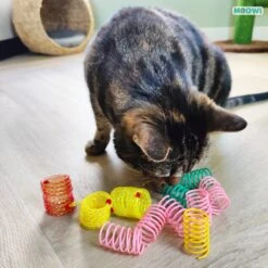 Moowi - Springveren 30 Stuks - Kat - Kattenveertjes - Kattenspeelgoed -Katten Benodigdheden Winkel 1199x1200 33