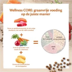 Wellness Core Kattenvoer Sterilised Zalm 4 Kg 16 Wellness Core Kattenvoer Sterilised Zalm 4 Kg -Katten Benodigdheden Winkel 1199x1200 4