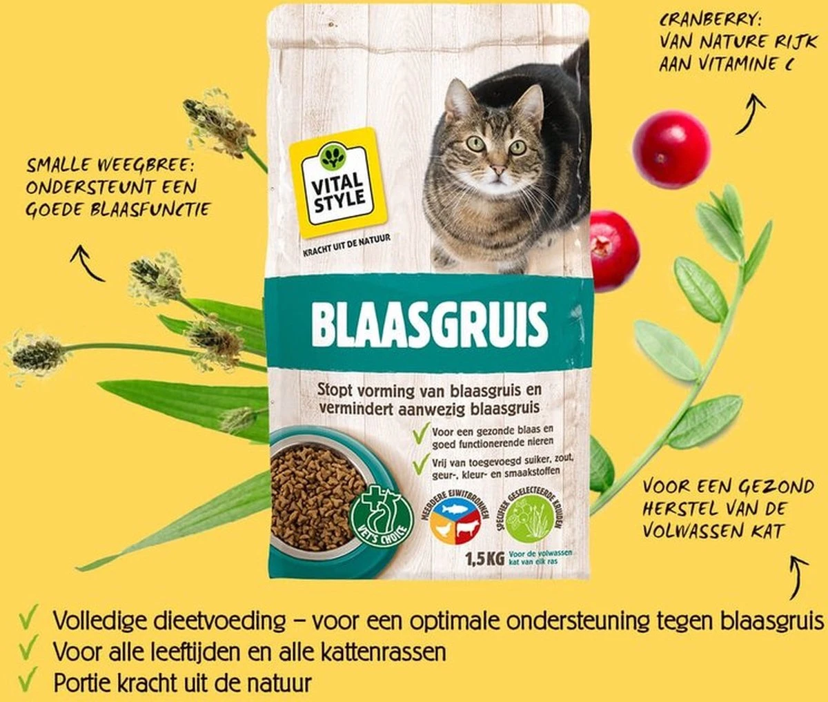 VITALstyle BLAASGRUIS - Kattenbrokken - 4 Kg 4 VITALstyle BLAASGRUIS - Kattenbrokken - 4 Kg - Afbeelding 2