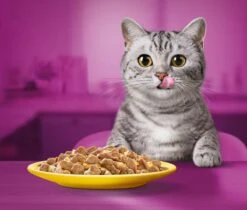 Whiskas 1+ Natvoer - Gevogelte - Selectie In Gelei - Maaltijdzakjes 80 X 85 G 11 Whiskas 1+ Natvoer - Gevogelte - Selectie In Gelei - Maaltijdzakjes 80 X 85 G -Katten Benodigdheden Winkel 1200x1019 4