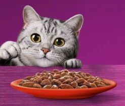 Whiskas 7+ Natvoer - Classic - Selectie In Saus - Maaltijdzakjes 48 X 85 G -Katten Benodigdheden Winkel 1200x1019 5