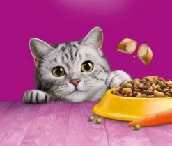 Whiskas 1+ Kattenbrokken - Kip - Doos 5 X 950 G -Katten Benodigdheden Winkel 1200x1019 6